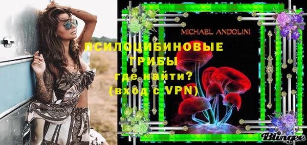 крисы Верхний Тагил