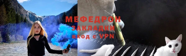крисы Верхний Тагил