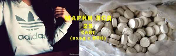 крисы Верхний Тагил
