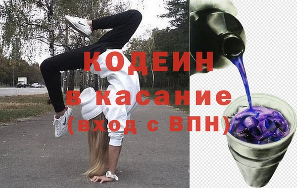 крисы Верхний Тагил
