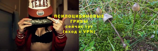 дурь Волосово