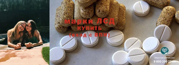 крисы Верхний Тагил